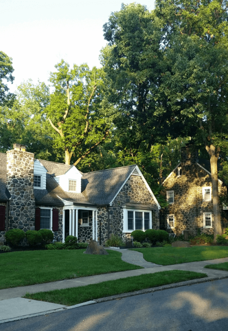 homes on a street - commercial tree care in an HOA community - Stein Tree Service